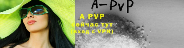 прущие грибы Новодвинск
