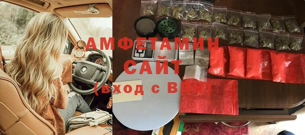 прущие грибы Новодвинск