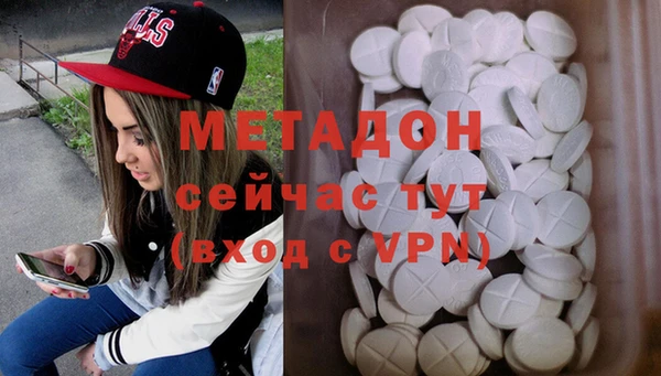 прущие грибы Новодвинск