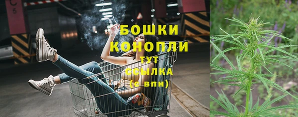 МДПВ Новокубанск
