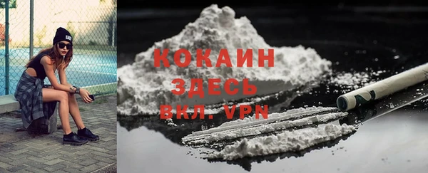 прущие грибы Новодвинск
