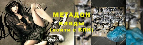 прущие грибы Новодвинск