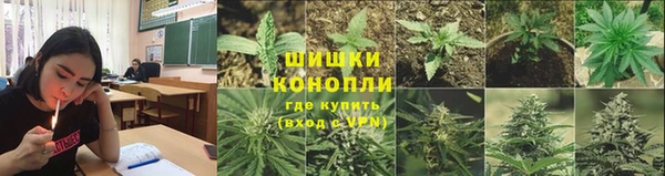 2c-b Новозыбков