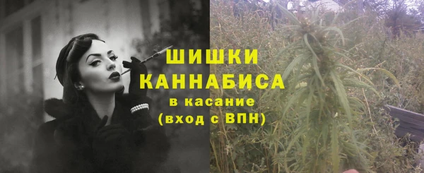 2c-b Новозыбков