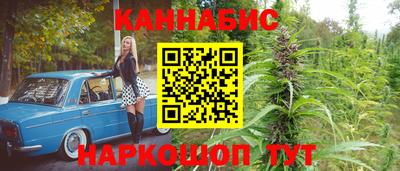 МДПВ Славгород