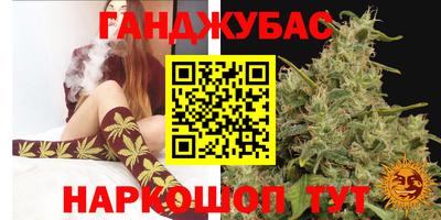 МДПВ Славгород