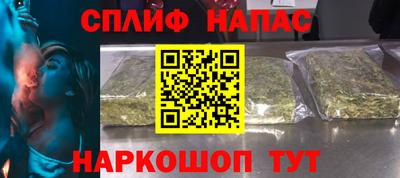 МДПВ Славгород