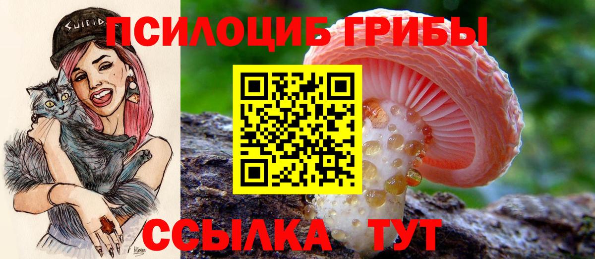 Смоленск  Галлюциногенные грибы мухоморы  хочу   Вход с VPN 